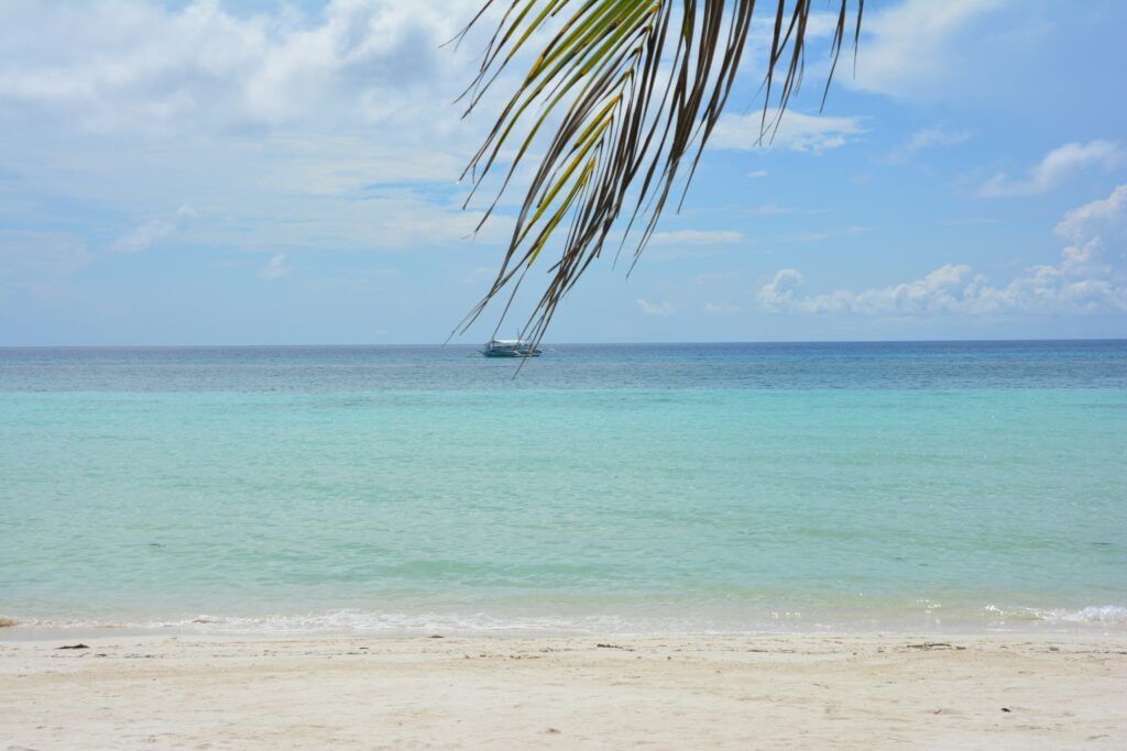 エメラルドグリーンの穏やかな海と白い砂浜、上部から垂れ下がるヤシの葉の風景