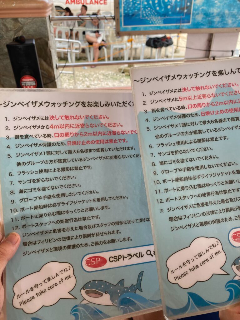 オスロブのジンベイザメの注意事項