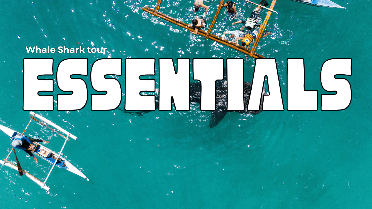 ジンベイザメツアーの持ち物アイキャッチ