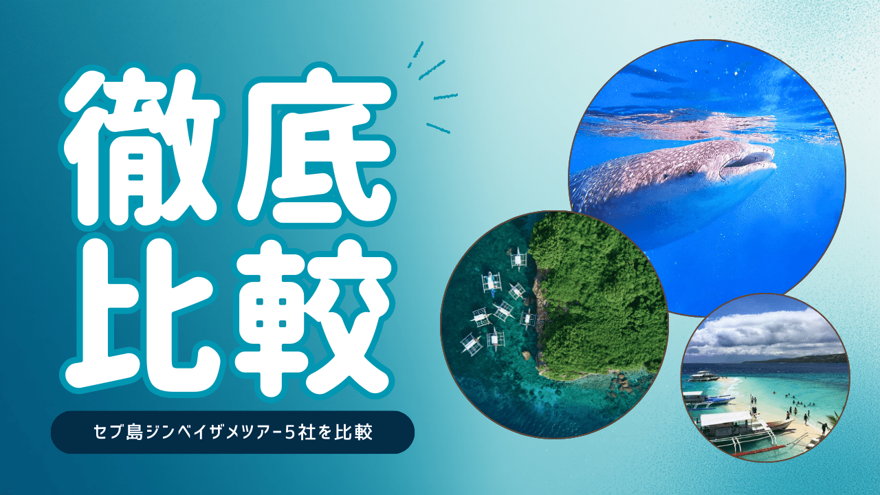 セブ島ジンベイザメツアー5社を比較アイキャッチ