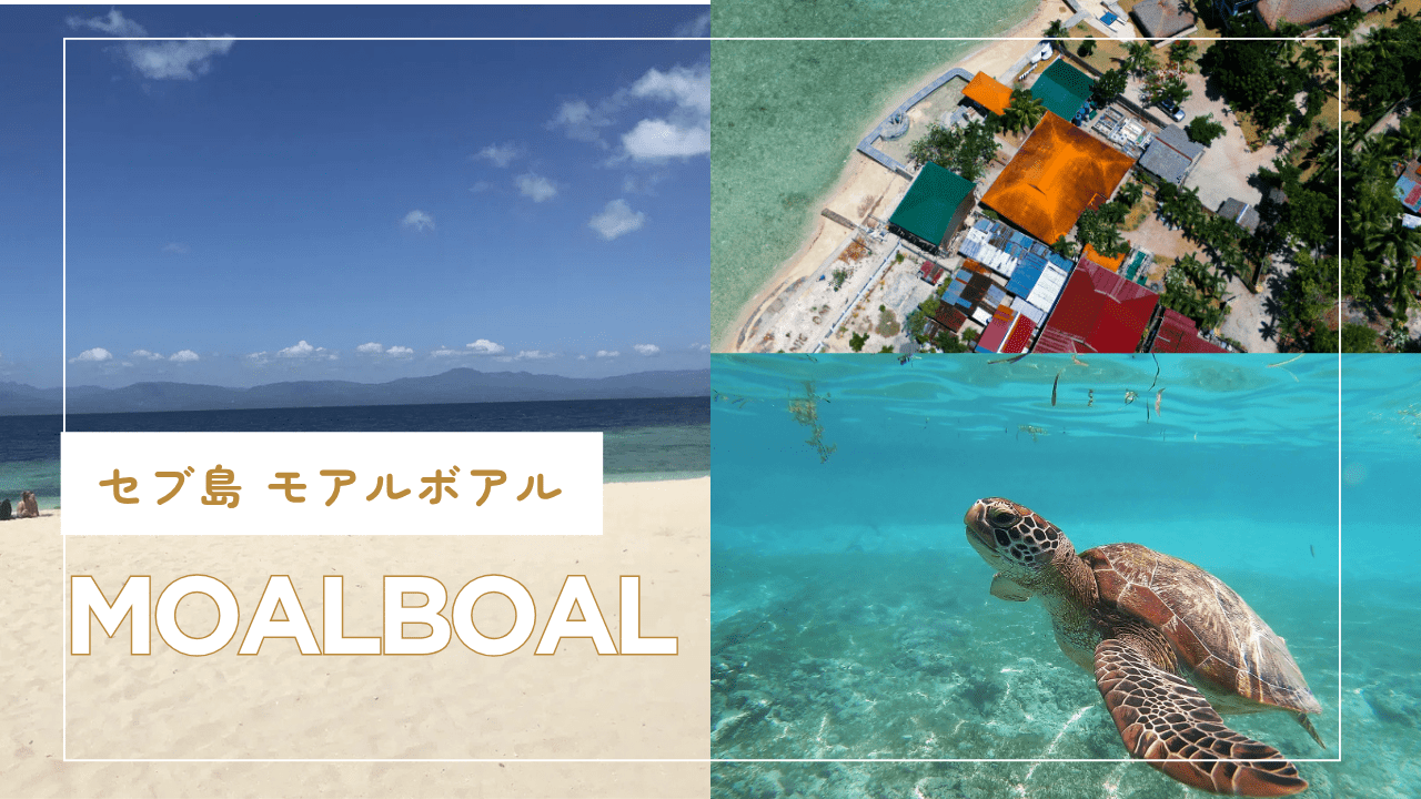 モアルボアルツアーのアイキャッチ