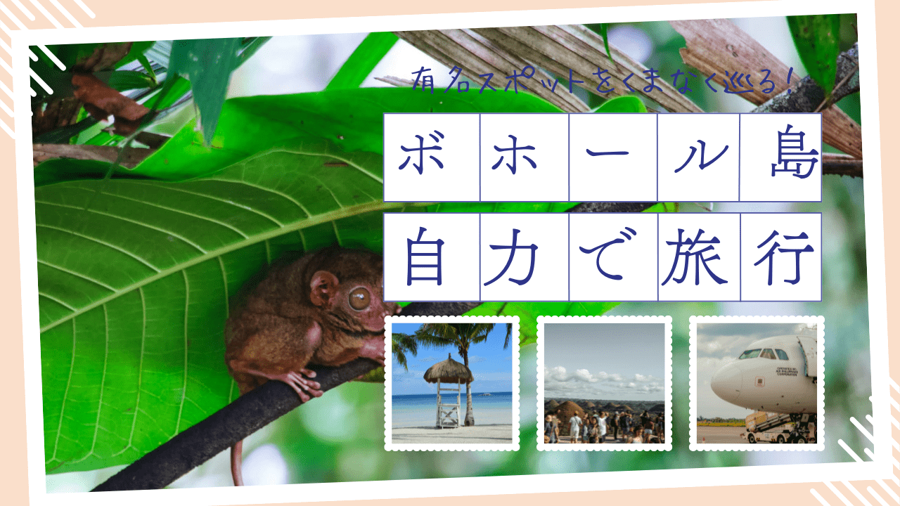 ボホール島自力旅行のアイキャッチ画像