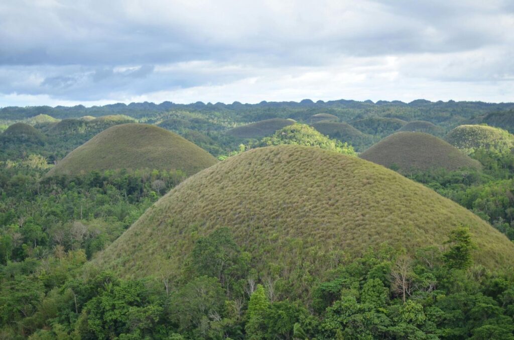 ボホール島のチョコレートヒルズ。円錐形の丘が連なる景観