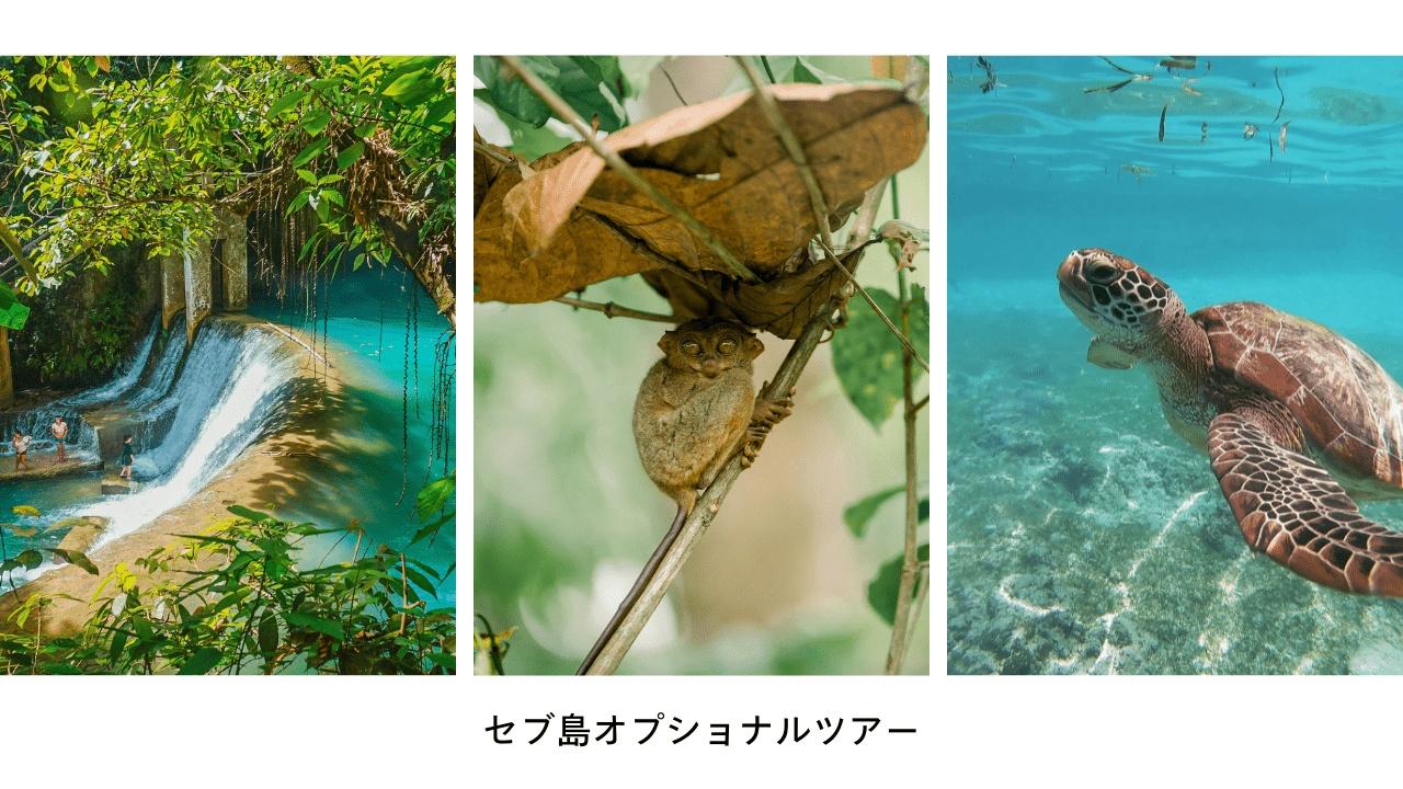 セブ島オプショナルツアーアイキャッチ